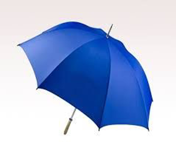 Picture of Blue Patio Umbrella