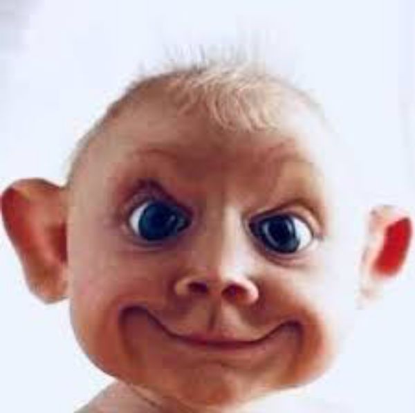 Picture of ESTORIS-2638 PRODUCT 1