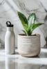 Picture of Vase 5